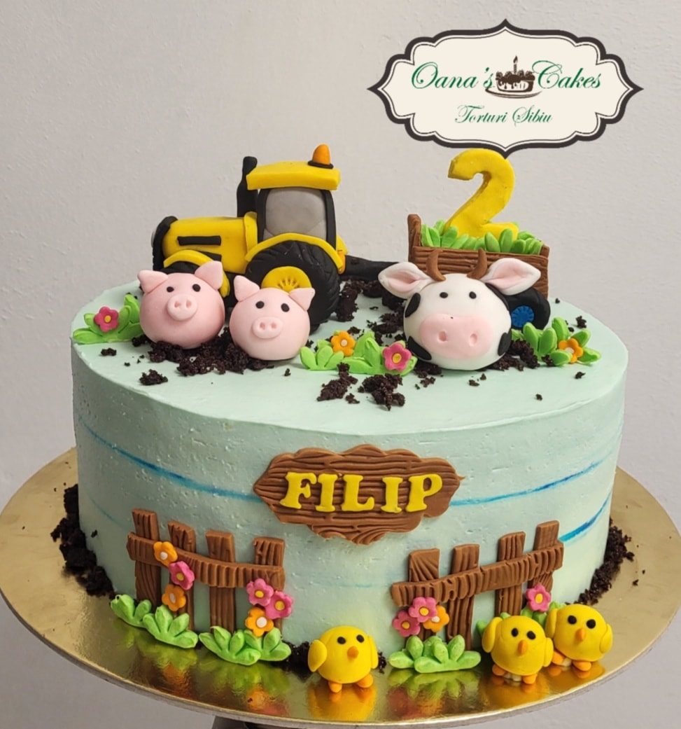 Tort Sibiu Filip